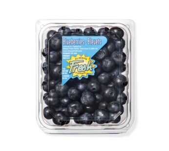 Fresh Blueberries Pack