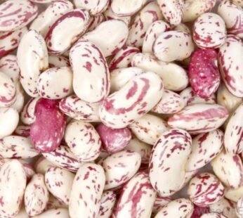 1 Cup Fresh Beans Masavu (White)