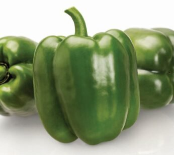 4 Pcs Green Pepper