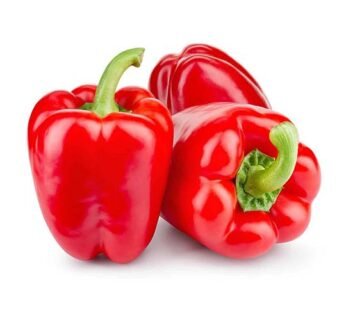 1 Pc Red Bell Pepper