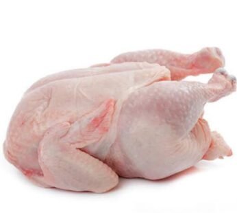 Broiler Chicken