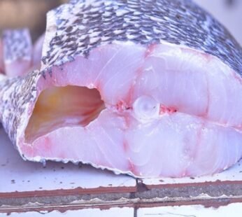 1/2 KG Nile Perch/ Mpuuta