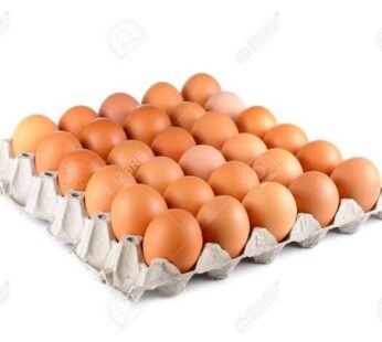 Eggs Tray